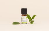 Olio essenziale di Alloro BIO