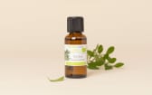 Olio essenziale Tea tree (Albero del tè) BIO