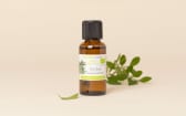 Huile essentielle Tea tree (Arbre à Thé BIO)