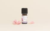 Absolue de Rose de Damas