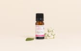 Algo'Zinc Active Ingredient