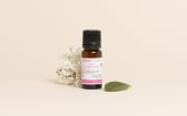 Plant-Based Collagen Active Ingredient