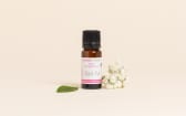 Bacti-Pur Active Ingredient