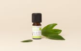 Huile essentielle Bois de rose BIO
