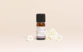 Fragrance naturelle Douceur d'Ange