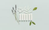 Sticks inhalateurs (Lot de 6)