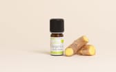 Organic Ginger Essential Oil