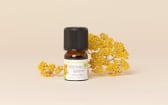Olio essenziale Elicriso italico (Immortale) di Corsica BIO