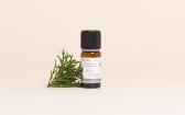 Hinoki Wood Natural Fragrance