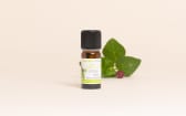 Huile essentielle Linaloe baies
