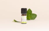 Olio essenziale Salvia sclarea di Provenza BIO