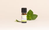 Olio essenziale Salvia sclarea di Provenza BIO