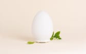 Diffuseur humidificateur Maia
