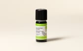 Huile essentielle Ravintsara (Ravintsare) BIO