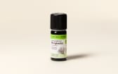 Huile essentielle Pin sylvestre BIO