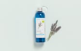 Organic Provençal Spike Lavender Hydrosol