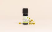 Organic German Chamomile Essential Oil