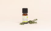 Olio essenziale Timo timolo di Provenza BIO