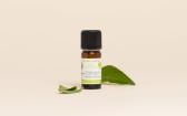 Huile essentielle Estragon BIO