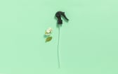 Black Polypropylene 24/410 Trigger Spray Pump For Bottle