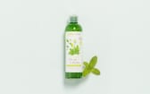 Green Tea & Mint Shower Gel