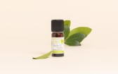 Olio essenziale di Balsamo di Copaiba BIO