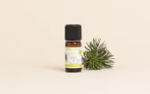 Organic Atlas Cedarwood Essential Oil