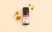 Actif cosmétique Tonique Immortelle
