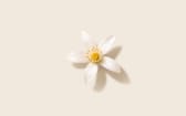 Brume-soin parfumée corps & cheveux Fleur d'Oranger