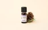 Fragranza naturale Abete stellato