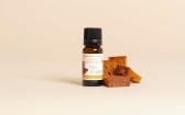 Aroma naturale di pan di zenzero
