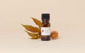Huile de Ricin BIO