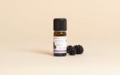 Wild Blackberry Natural Fragrance