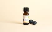 Organic Blueberry Natural Food Flavouring
