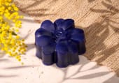 O242162-E4 Savon-Violette-et-Mimosa web
