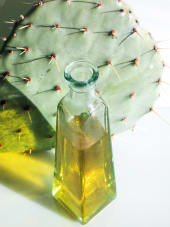 Elixir de beauté Rêve d'Orient