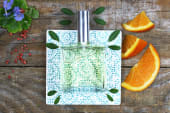 Eau de parfum "terre d'homme"
