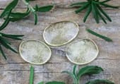 Sucette-hiver-tea-tree-menthe_web.webp