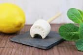 Bain de bouche naturel en sucette "menthe-citron"