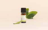 Huile essentielle de niaouli Aroma-Zone avec feuille sur fond beige