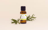 Huile essentielle Romarin a camphre