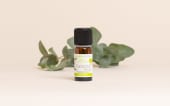 Huile essentielle Eucalyptus globulus BIO