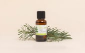 Huile essentielle Sapin de Sibérie
