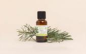 Olio essenziale di Abete siberiano