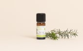 Olio essenziale Tea tree (Albero del tè)