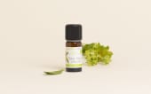 Olio essenziale di Ylang-Ylang III BIO