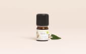 Huile essentielle Néroli BIO