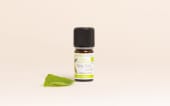 Olio essenziale di Ylang-ylang completo BIO
