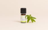 Huile essentielle Verveine odorante BIO