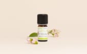 Huile essentielle Manuka